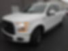 1FTEW1EG7HFC12998-2017-ford-f-series-1