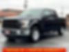 1FTEW1E82FFB84775-2015-ford-f-150-2