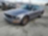1ZVFT80N775266296-2007-ford-mustang-1