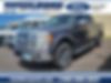 1FTFW1ET9BKD86345-2011-ford-f-150-0