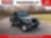 1J4FA59S02P731332-2002-jeep-wrangler