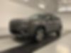 1C4PJMDN9KD194287-2019-jeep-cherokee-1