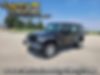 1C4BJWDG5HL731579-2017-jeep-wrangler-unlimited-0