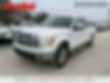 1FTFW1CV8AFD32496-2010-ford-f-150-1