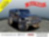 1C4BJWDG5HL651263-2017-jeep-wrangler-0