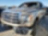 1FTFW1ET3DKF04540-2013-ford-f-150-0