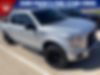 1FTEW1CP9GKF16116-2016-ford-f-150-2