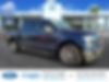 1FTEW1CG6GKF30040-2016-ford-f-150-0