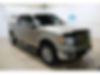 1FTEW1C81AFC48266-2010-ford-f-150-0