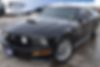 1ZVHT82H195133391-2009-ford-mustang-0