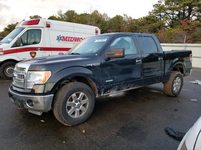 1FTFW1ET1DFD60883-2013-ford-f-150-0
