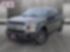 1FTEW1CP9JKD18613-2018-ford-f-150-0