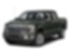 1FTEW1CG6FFB00581-2015-ford-f-150-0