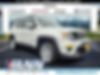 ZACNJBBB7LPL06430-2020-jeep-renegade-0