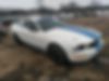 1ZVHT80N685190404-2008-ford-mustang-0