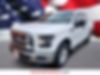 1FTEW1EFXFKD46318-2015-ford-f-150-0