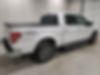 1FTFW1ET7DKG10151-2013-ford-f-150-2