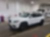 1C4PJMLB7KD293259-2019-jeep-cherokee