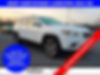 1C4PJMDX1LD553831-2020-jeep-cherokee-0