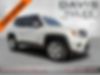 ZACNJBD19KPJ90263-2019-jeep-renegade-0
