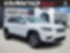 1C4PJMDX8LD583585-2020-jeep-cherokee-0