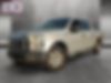 1FTEW1EP5HKC75363-2017-ford-f-150-0