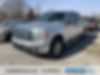 1FTFW1CT5BFC33649-2011-ford-f-150-0