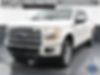 1FTEW1EF4GFC07196-2016-ford-f-150-0