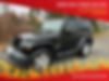 1J4AA5D19AL148885-2010-jeep-wrangler-0