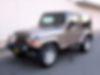 1J4FA59S73P301007-2003-jeep-wrangler-0