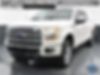1FTEW1EF4GFC07196-2016-ford-f-150-0