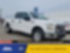 1FTEW1EP1HFC10146-2017-ford-f-150-0