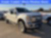 1FT7W2BT9HEB13637-2017-ford-f-250-0