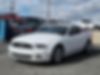 1ZVBP8AM0E5251502-2014-ford-mustang-2