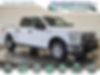 1FTEW1EP1GKD60618-2016-ford-f-150-0