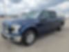 1FTEW1CP2GFA18557-2016-ford-f-150-0