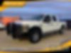 1FTSW2BR9AEA10304-2010-ford-f-250-2