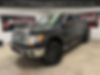 1FTFW1ET9DFD02200-2013-ford-f-150-0