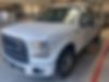 1FTEX1EP6HFB31584-2017-ford-f-150-0