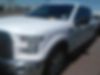 1FTEW1CP9FKE84069-2015-ford-f-150-0