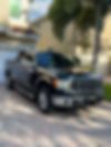 1FTEW1C81AFC34030-2010-ford-f-150-1