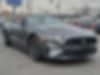 1FATP8UHXK5109200-2019-ford-mustang-1