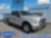 1FTEW1EF3FKD11622-2015-ford-f-150-0