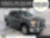 1FTEW1CP3HKE04056-2017-ford-f-150-0