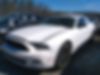 1ZVBP8AM2D5258613-2013-ford-mustang