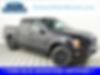 1FTEW1EP0LFC40683-2020-ford-f-150-0