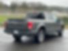 1FTEW1EP6GKF13106-2016-ford-f-150-2