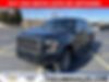1FTEW1EP9GFC91069-2016-ford-f-150-0