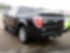 1FTFW1CT6DKD68679-2013-ford-f150-2