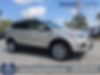 1FMCU0GD6JUD01520-2018-ford-escape-0